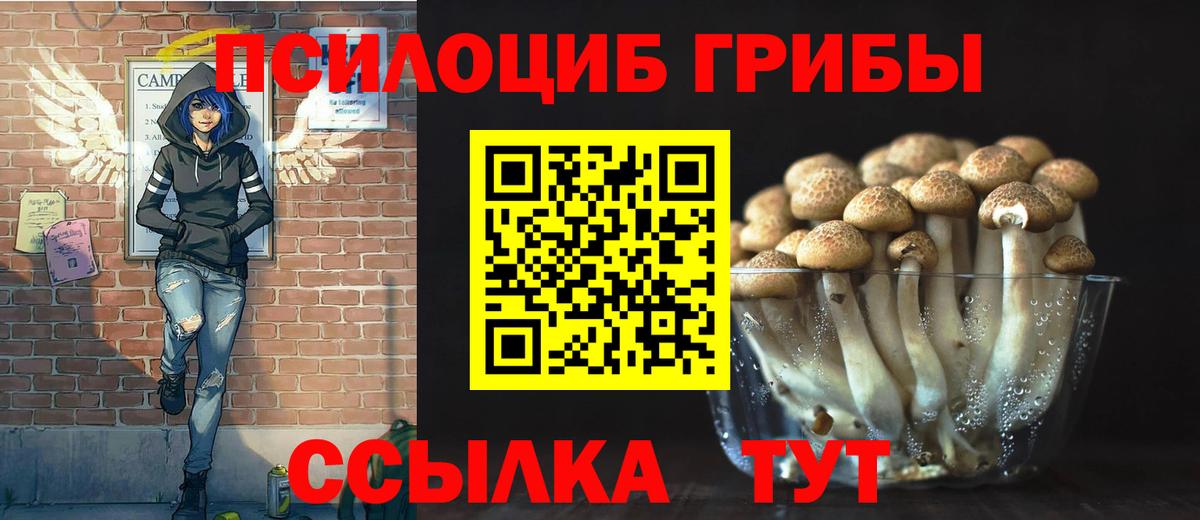 Псилоцибиновые грибы MAGIC MUSHROOMS Туапсе