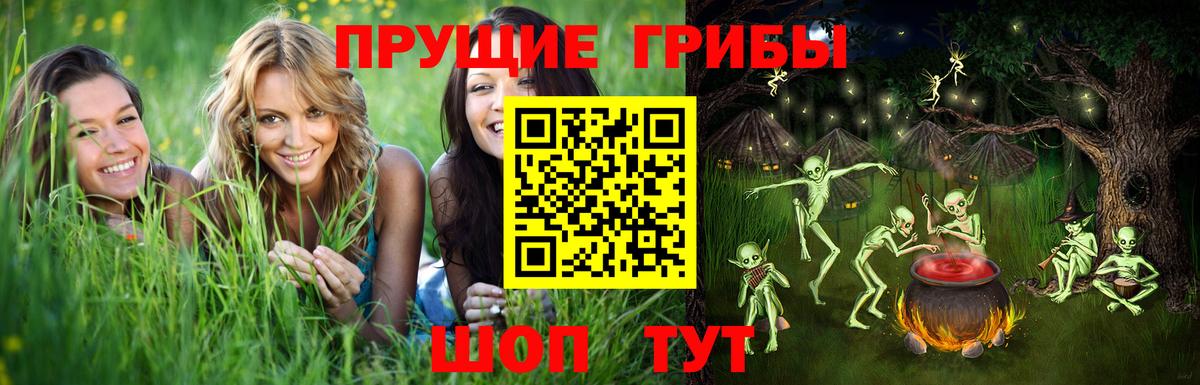 продажа наркотиков  Псилоцибиновые грибы Psilocybine cubensis  Вход с VPN  Псилоцибиновые грибы MAGIC MUSHROOMS  Туапсе 